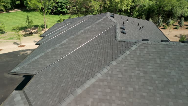 Best Steel Roofing  in Homestead Meadows North, TX
