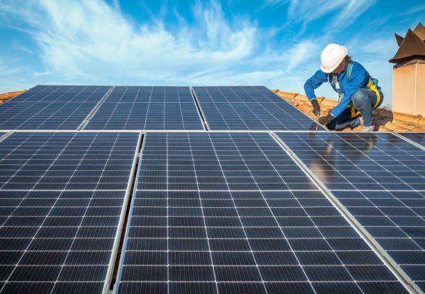 Best Solar Panel Roofing Installation  in Homestead Meadows North, TX