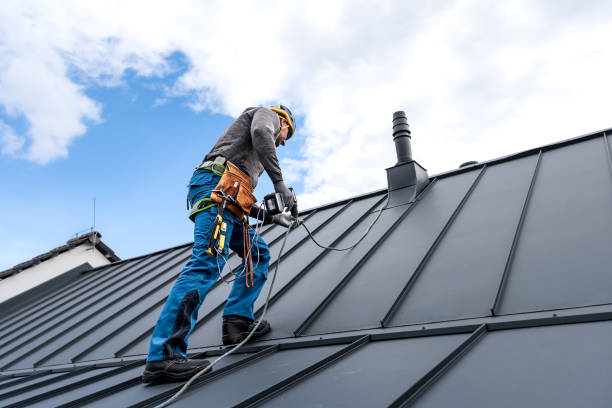 Best Roof Coating and Sealing  in Homestead Meadows North, TX