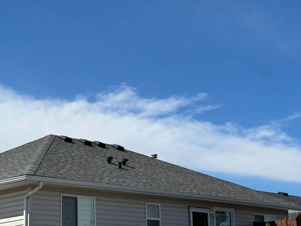 Best Metal Roofing Installation  in Homestead Meadows North, TX